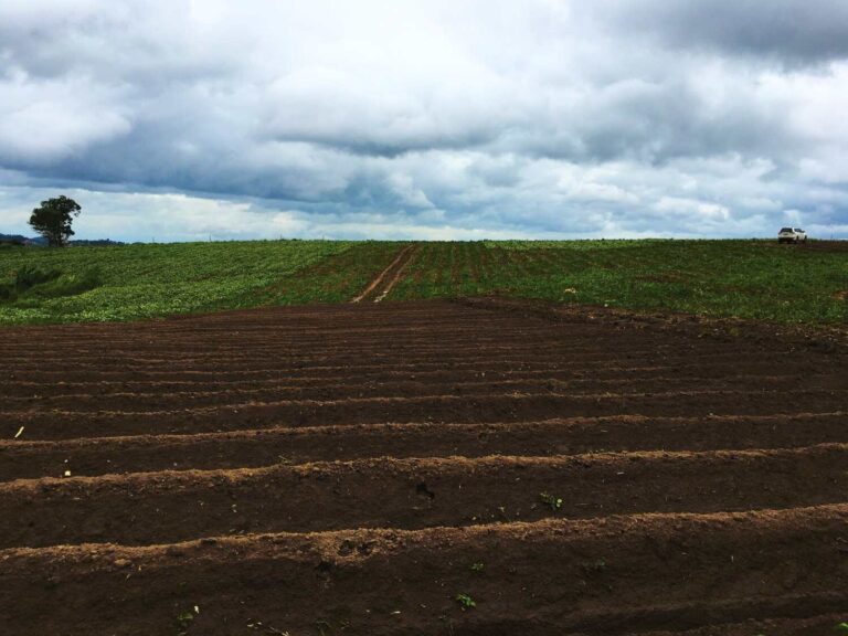 tipos-de-maquinaria-agrícola