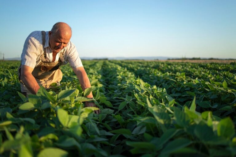 tipos-de-maquinaria-agrícola